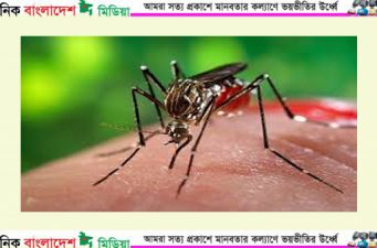 ডেঙ্গু : শীতেও রয়েছে প্রভাব, ১১ মাসে ১২৯ জনের মৃত্যু