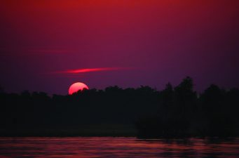 ফিরে দেখা ঘটনাবহুল ২০১৯