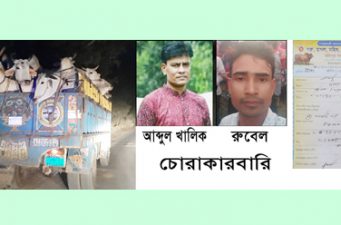 অবাধে আসছে ভারতীয় গরু : প্রশাসন ও পাবলিক নিয়ন্ত্রণে খালিক-রুবেল