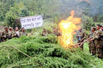 গাঁজা ক্ষেত জ্বালিয়েছে সেনাবাহিনী