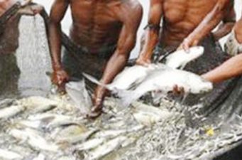 জগন্নাথপুরে সরকারি জলাশয় থেকে মাছ লুটের ঘটনায় নেয়া হয়নি ব্যবস্থা