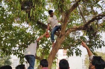 হাঁড়িতে পাখির বাসা