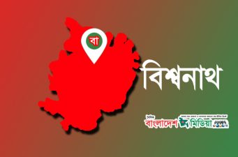 সিলেট বিশ্বনাথে ১৭ বছর পর নির্বাচন: আনন্দিত ভোটাররা