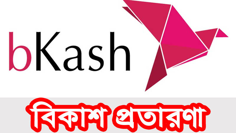 সিলেট বিশ্বনাথে বিকাশ প্রতারণার ফাঁদে কৃষাণী পারভিন