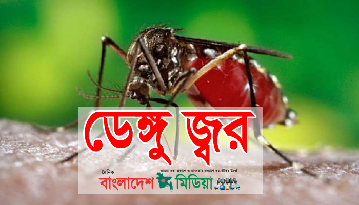 দেশে গত ২৪ ঘণ্টায় ডেঙ্গু জ্বরে আক্রান্ত ৮ জন, মৃত্যু ১