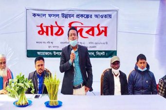 বিশ্বনাথের জাবের লতিরাজ কচুর সফল চাষী