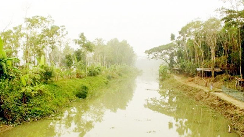 জীবনানন্দ দাশের প্রকৃতির লীলাভূমি ‘ধানসিঁড়ি’