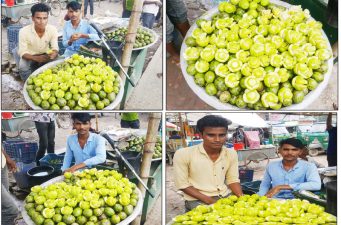 মাধবপুরে বরিশালী মিষ্টি আমড়া বেঁচে জীবিকা নির্বাহ করছে ৩ যুবক