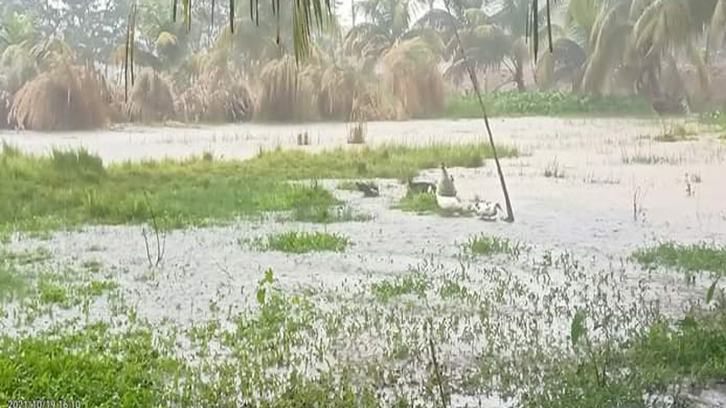 গত ২৪ ঘন্টায় বরিশালে ১৩১মিলিমিটার বৃষ্টিপাতের রেকর্ড