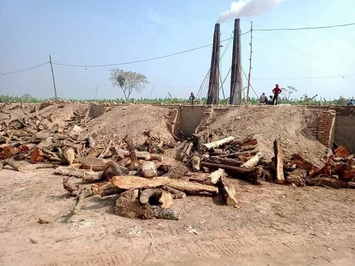 কুষ্টিয়ায় অবৈধ ভাটা ভেঙে গুঁড়িয়ে দেওয়ার এক সপ্তাহের ব্যবধানে চালু