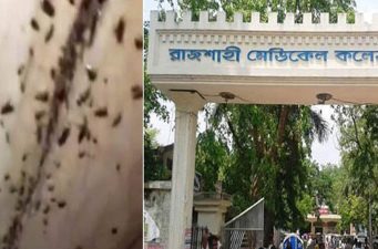 তেলাপোকা দমনে ব্যর্থ রামেক হাসপাতাল