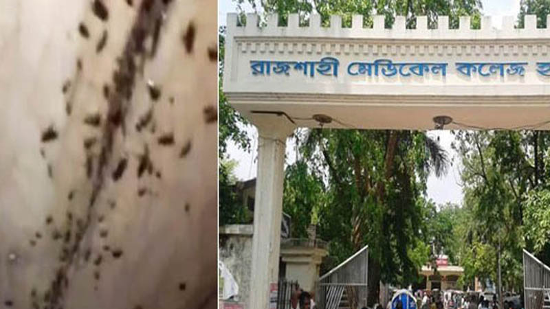 তেলাপোকা দমনে ব্যর্থ রামেক হাসপাতাল