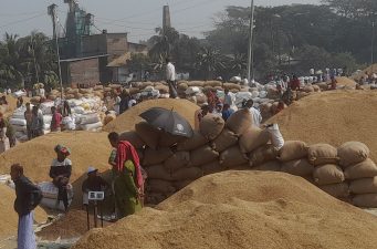 দেশের দক্ষিণাঞ্চলের বৃহত্তম কালাইয়া বাজারে জমজমাট ধানের হাট।