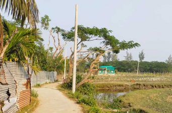 ভোলার মনপুরায় বিদ্যুতের খুঁটি বিক্রি করে হাতিয়ে নিচ্ছে লাখ টাকা!