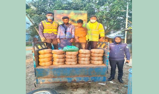 দাউদকান্দির শহীদনগর বাজারে ৪১ কেজি গাঁজা ২ জন আটক।