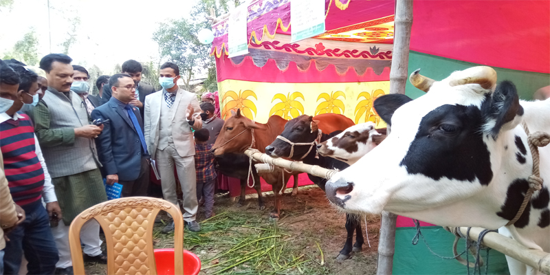 কাজিপুরে প্রাণীসম্পদ প্রদর্শনী অনুষ্ঠিত 