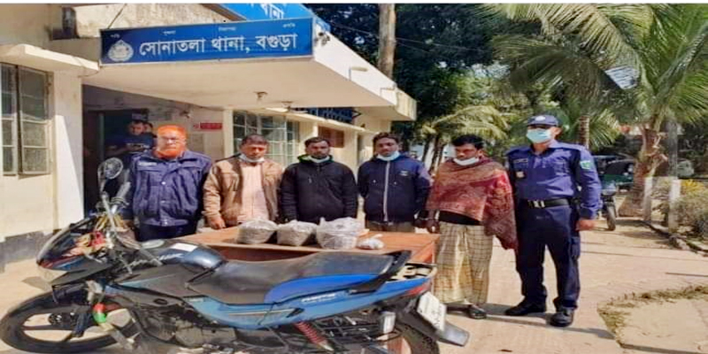 বগুড়ার সোনাতলায় গাঁজাসহ ৪ মাদক ব্যবসায়ী আটক