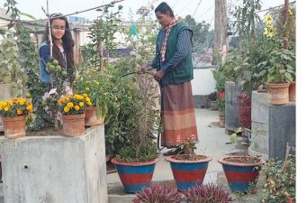 গোদাগাড়ীতে বাসার ছাঁদে ফলজ ও সবজি বাগান করে সফল আ.লীগ দম্পতি