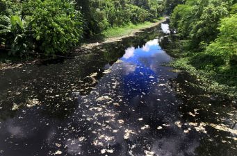 দখলে দুষণে নাখাল পাবনার ইছামতী