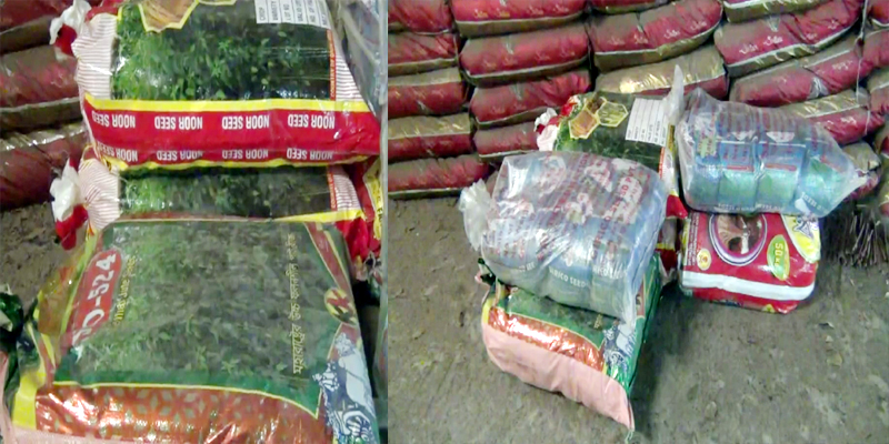 হিলি স্থলবন্দর দিয়ে পাটবীজ আমদানি