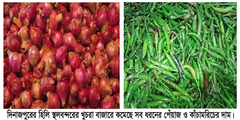 হিলি স্থলবন্দরে সব ধরনের পেঁয়াজ ও কাঁচামরিচের দাম কমেছে 
