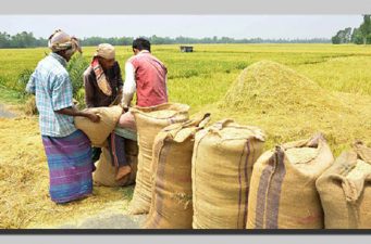 আমন ধান সংগ্রহে লক্ষ্যমাত্রা অর্জন করতে চায় সরকার