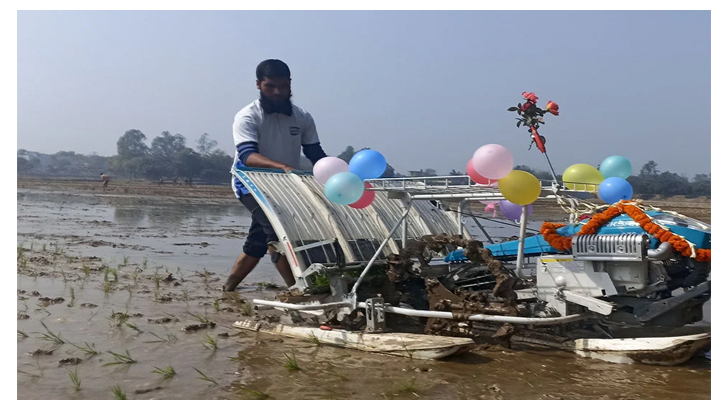 চাঁপাইনবাবগঞ্জের গোমস্তাপুরে আধুনিক প্রযুক্তিতে ধান চাষ