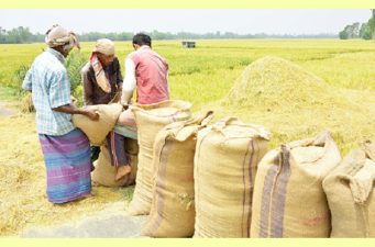 বোরো ধান-চাল সংগ্রহের দাম নির্ধারণ