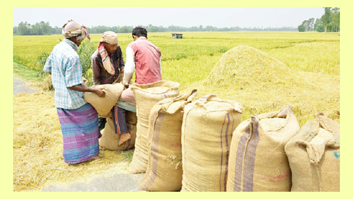 বোরো ধান-চাল সংগ্রহের দাম নির্ধারণ