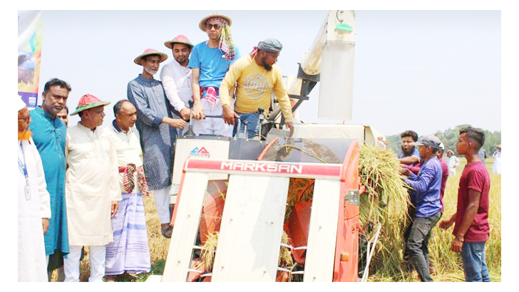 ১৫ কৃষকের ৪০ একর পাকা ধান কেটে দিল কৃষক লীগ