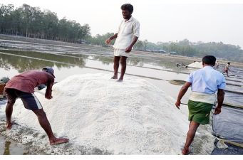 চামড়ার দাম কমলেও লবণের দাম বাড়ায় বিপাকে চামড়া ব্যবসায়ীরা