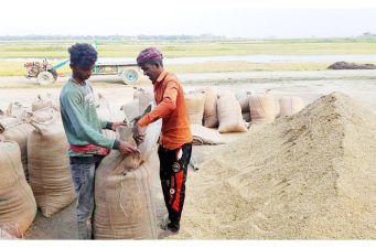 হবিগঞ্জ জেলায় বোরো সংগ্রহ হয়নি লক্ষ্যমাত্রার অর্ধেকও