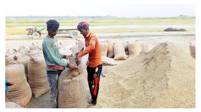 হবিগঞ্জ জেলায় বোরো সংগ্রহ হয়নি লক্ষ্যমাত্রার অর্ধেকও