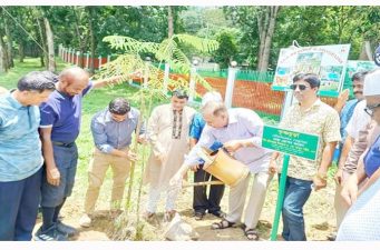 শ্রীমঙ্গলের সৌন্দর্যবর্ধনে রাস্তার দু’পাশে কৃষ্ণচূড়া ও রাধাচুড়ার চারা রোপন