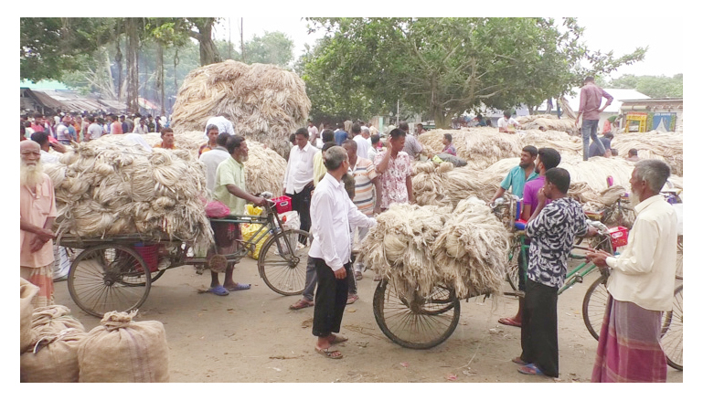 সুদিন ফেরানো যাচ্ছে না সোনালি আঁশের