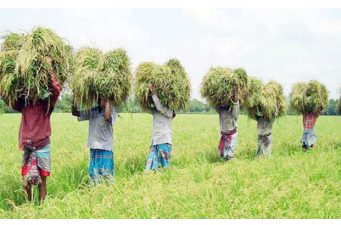 ২৫ বিঘা জমি কম থাকলে কর দিতে হবে না, সংসদে বিল পাশ