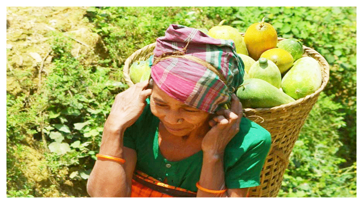 খাগড়াছড়ি ফল ফসলে জেগে উঠেছে সম্ভাবনার পাহাড়