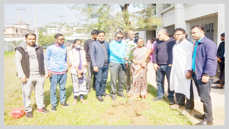 মৌলভীবাজারে নিযাচা’র বর্ষপূর্তি উপলক্ষে বৃক্ষরোপণ ও সচেতনমূলক লিফলেট বিতরণ
