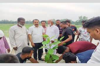 সবুজ পৃথিবী গড়তে বৃক্ষরোপণ করলেন কাজিপুর উপজেলা চেয়ারম্যান খলিলুর রহমান সিরাজী