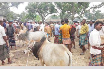 রাণীশংকৈল কাতিহার হাটে অতিরিক্ত টোল আদায়ে ভ্রাম্যমান জরিমানা