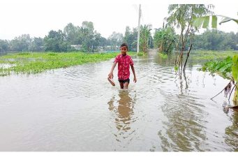 বিপৎসীমা ছুঁই ছুঁই করছে তিস্তা