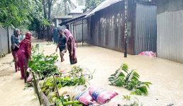 শেরপুরে বন্যা পরিস্থিতির অবনতি, এ পর্যন্ত ৭ জনের মৃত্যু