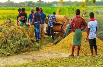 ধান বিক্রয়ে কৃষকের অনীহা পাঁচ বছরে ১২ শতাংশের বেশি ধান সংগ্রহ করতে পারেনি রাজশাহী খাদ্য বিভাগ