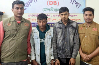 রাণীশংকৈলে অতিথি পাখির কলকাকলিতে মুখরিত রামরায় দিঘি
