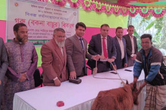 কাজিপুরে জেলেদের বিকল্প কর্মসংস্থানের লক্ষ্যে গবাদিপশু বিতরণ