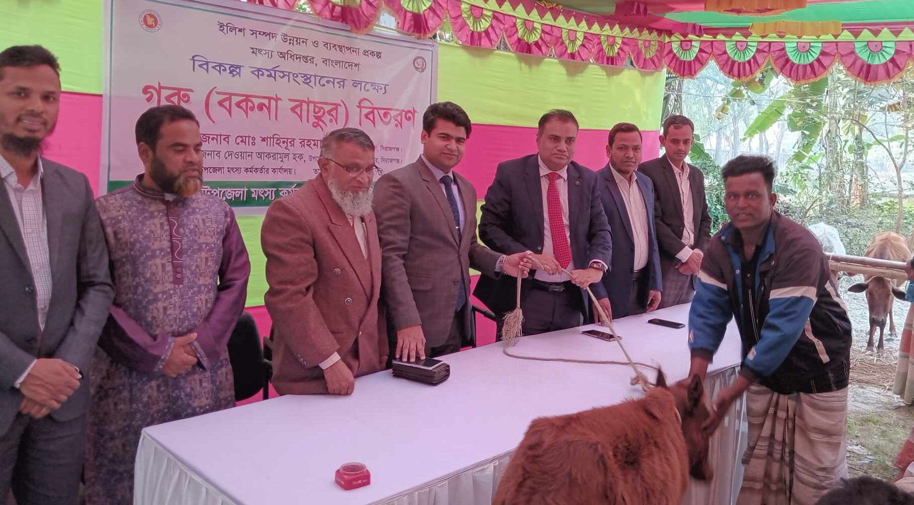 কাজিপুরে জেলেদের বিকল্প কর্মসংস্থানের লক্ষ্যে গবাদিপশু বিতরণ