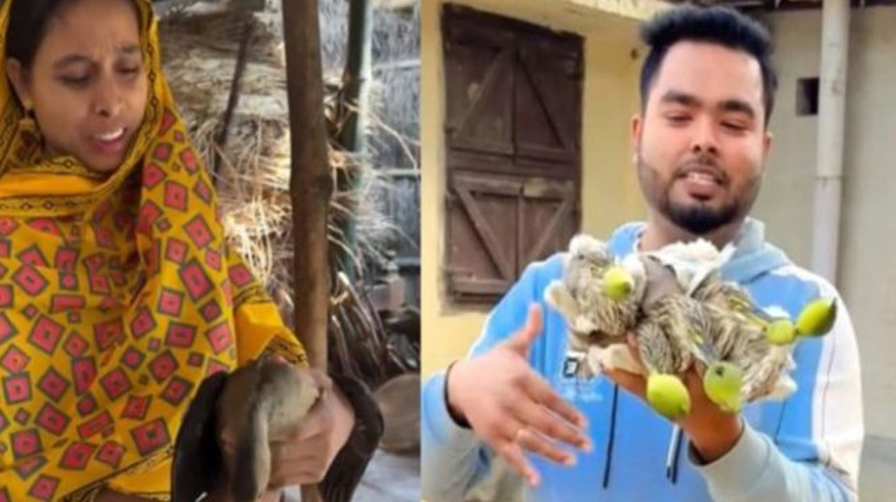 বক-বুনোহাঁস খাওয়ার ভিডিও পোস্ট, ২ কন্টেন্ট ক্রিয়েটরের নামে মামলা