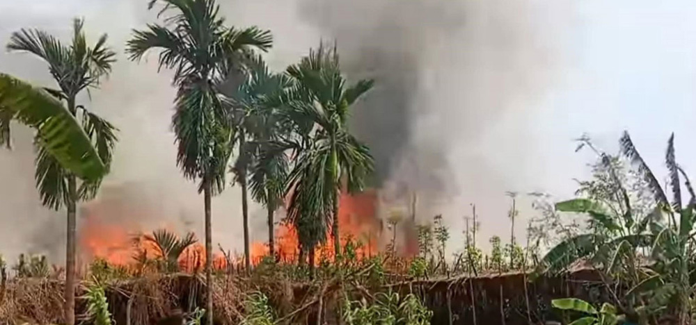 বাগমারায় আধাঘণ্টায় ৩৬ বিঘা পানের বরজ পুড়ে ছাই