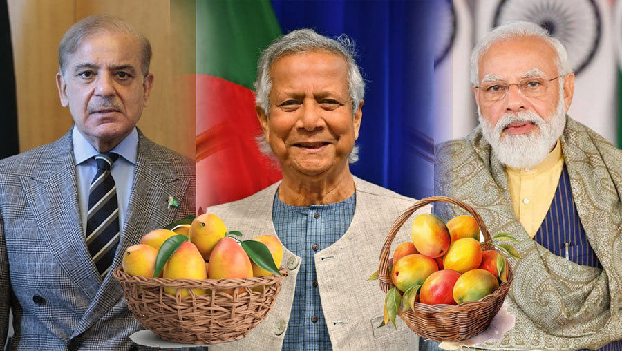 পাকিস্তান-ভারতসহ পাঁচ সরকার প্রধানকে প্রধান উপদেষ্টার উপহার