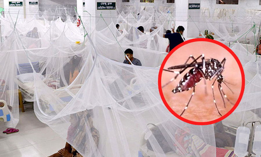 ডেঙ্গুতে নয় মাসে ২৫০ মৃত্যু, হাসপাতালে ৮২ হাজারের বেশি
